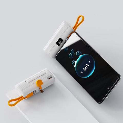 Portable Power Bank