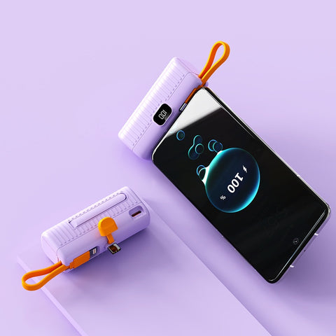 Portable Power Bank
